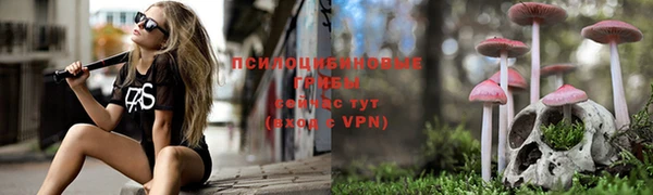 ALPHA PVP Медногорск