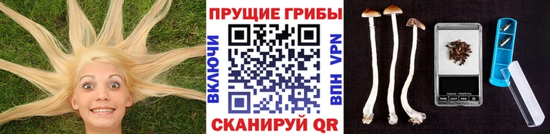 Галлюциногенные грибы MAGIC MUSHROOMS  Абинск 