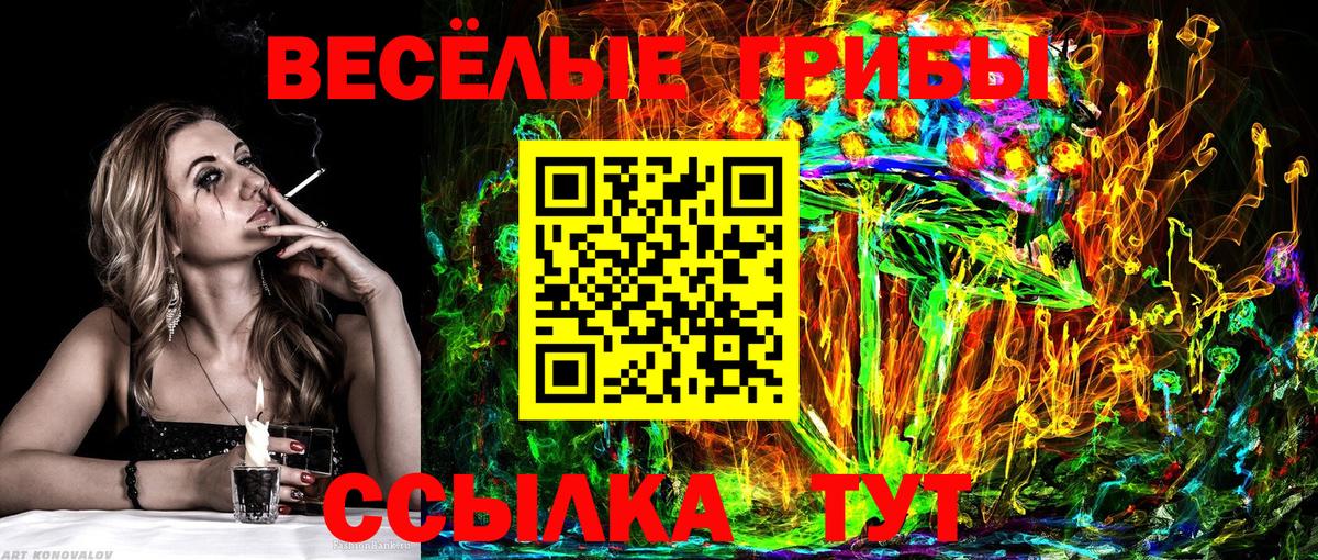 Галлюциногенные грибы мицелий  где купить   Абинск  Вход с VPN 