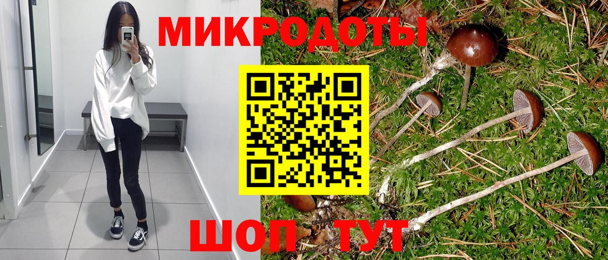 Галлюциногенные грибы GOLDEN TEACHER Абинск