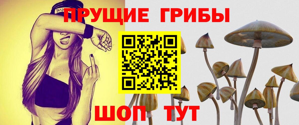 Псилоцибиновые грибы ЛСД  Абинск  Галлюциногенные грибы мицелий 